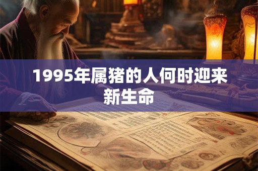 1995年属猪的人何时迎来新生命
