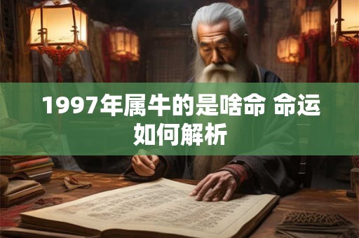 1997年属牛的是啥命 命运如何解析