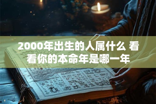 2000年出生的人属什么 看看你的本命年是哪一年