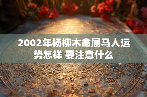 2002年杨柳木命属马人运势怎样 要注意什么