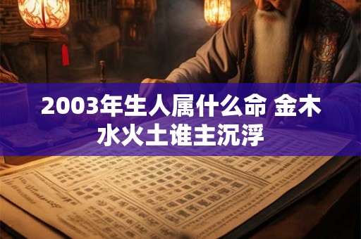 2003年生人属什么命 金木水火土谁主沉浮