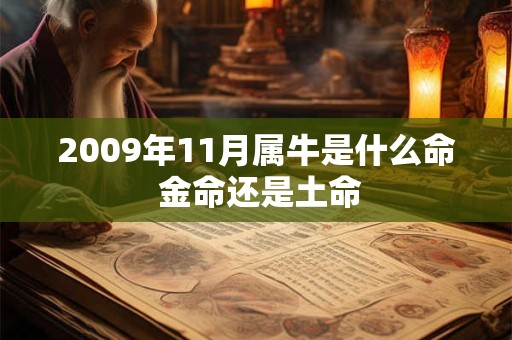 2009年11月属牛是什么命 金命还是土命