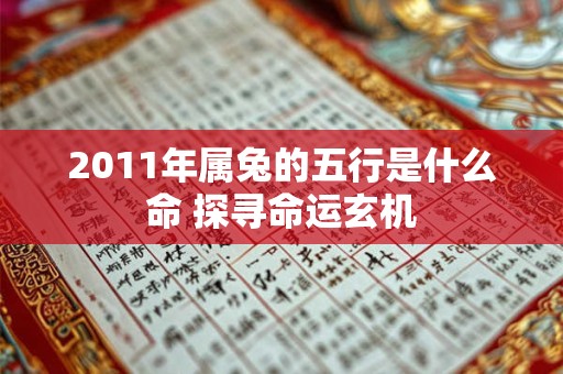 2011年属兔的五行是什么命 探寻命运玄机