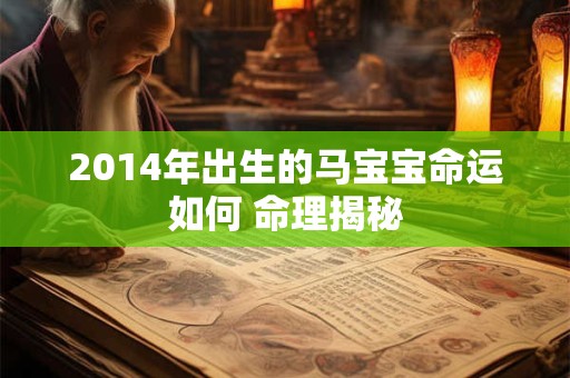 2014年出生的马宝宝命运如何 命理揭秘