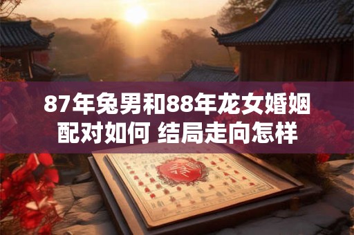 87年出生的兔人，2025年本命年有哪些禁忌