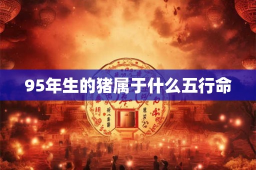 95年生的猪属于什么五行命