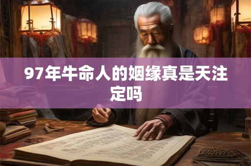 97年牛命人的姻缘真是天注定吗