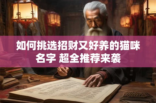 如何挑选招财又好养的猫咪名字 超全推荐来袭