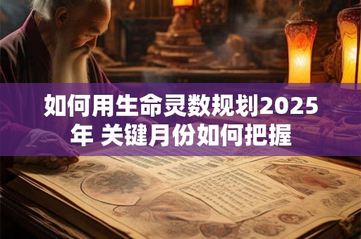 如何用生命灵数规划2025年 关键月份如何把握