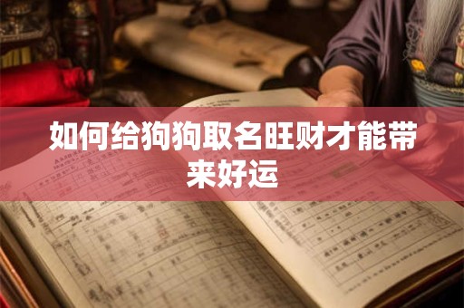 如何给狗狗取名旺财才能带来好运