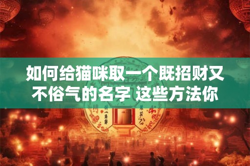 如何给猫咪取一个既招财又不俗气的名字 这些方法你知道吗