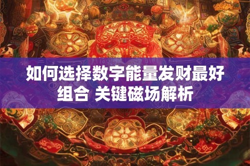 如何选择数字能量发财最好组合 关键磁场解析
