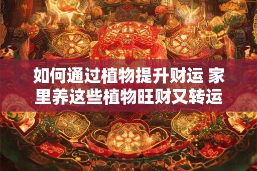 如何通过植物提升财运 家里养这些植物旺财又转运