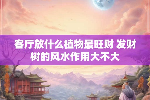 客厅放什么植物最旺财 发财树的风水作用大不大