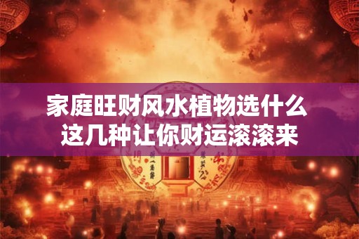 家庭旺财风水植物选什么 这几种让你财运滚滚来