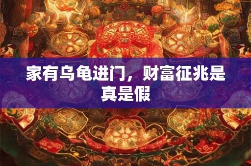 家有乌龟进门，财富征兆是真是假