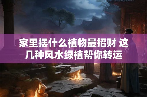 家里摆什么植物最招财 这几种风水绿植帮你转运