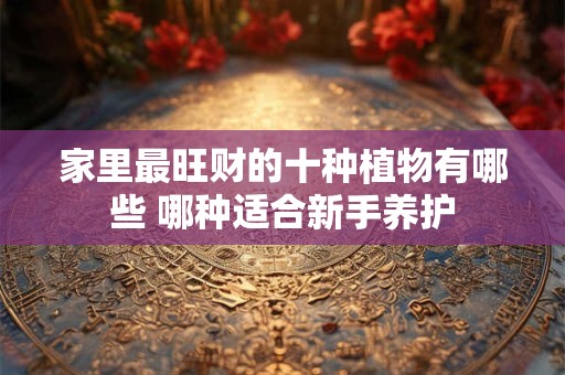 家里最旺财的十种植物有哪些 哪种适合新手养护