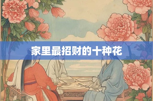家里最招财的十种花