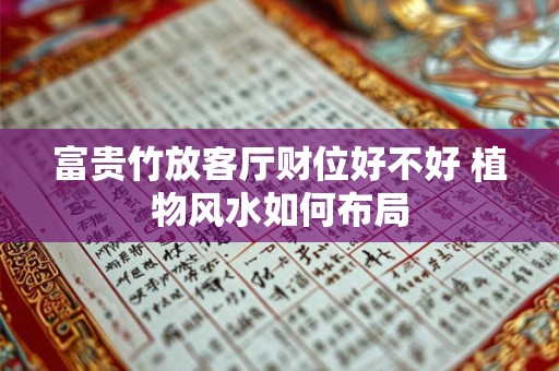 富贵竹放客厅财位好不好 植物风水如何布局