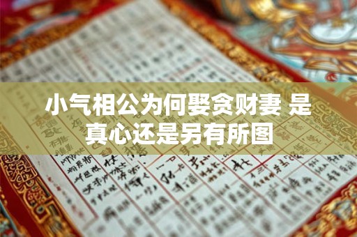 小气相公为何娶贪财妻 是真心还是另有所图