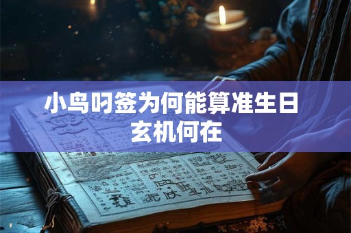 小鸟叼签为何能算准生日 玄机何在