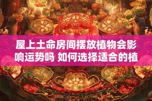屋上土命房间摆放植物会影响运势吗 如何选择适合的植物