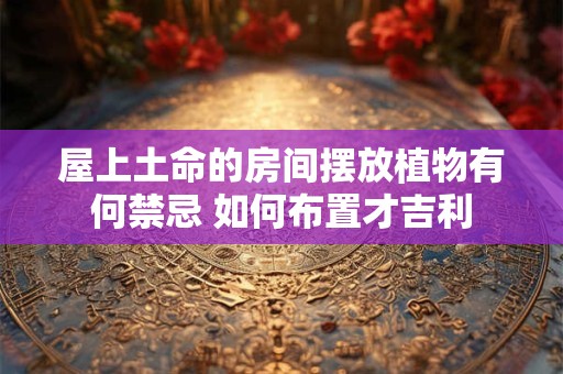 屋上土命的房间摆放植物有何禁忌 如何布置才吉利