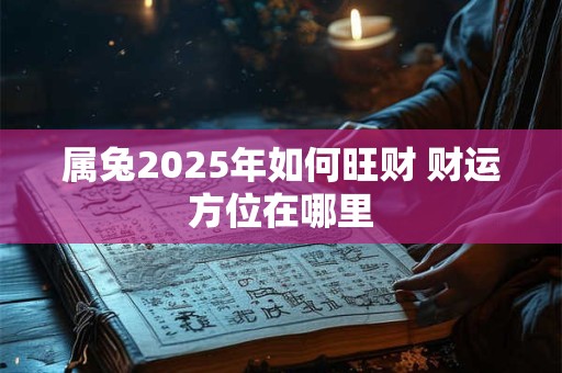 属兔2025年如何旺财 财运方位在哪里