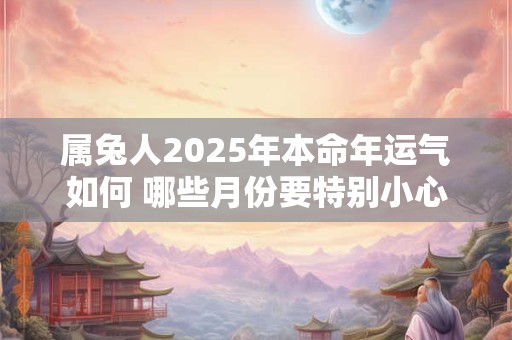 属兔人2025年本命年运气如何 哪些月份要特别小心