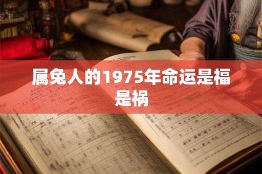 属兔人的1975年命运是福是祸