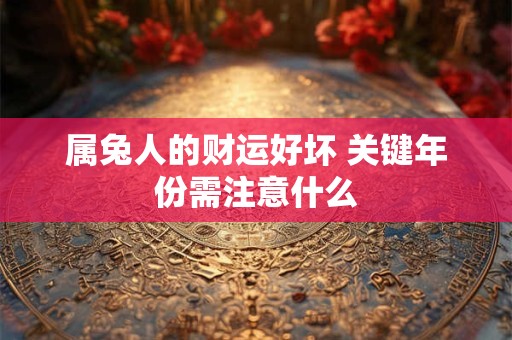 属兔人的财运好坏 关键年份需注意什么