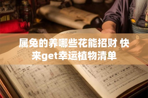 属兔的养哪些花能招财 快来get幸运植物清单