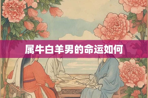 详细阅读:属牛白羊男的命运如何 属牛白羊男的命运如何