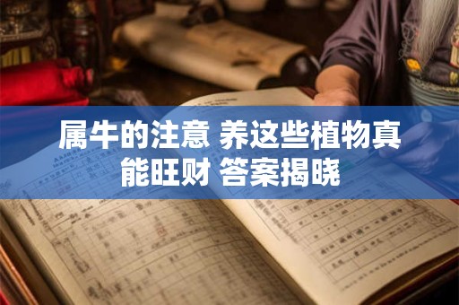 属牛的注意 养这些植物真能旺财 答案揭晓