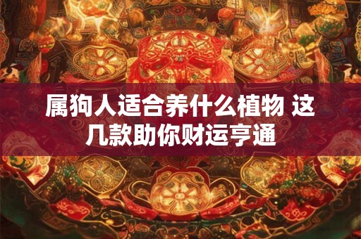 属狗人适合养什么植物 这几款助你财运亨通