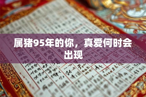 属猪95年的你，真爱何时会出现