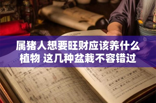 属猪人想要旺财应该养什么植物 这几种盆栽不容错过