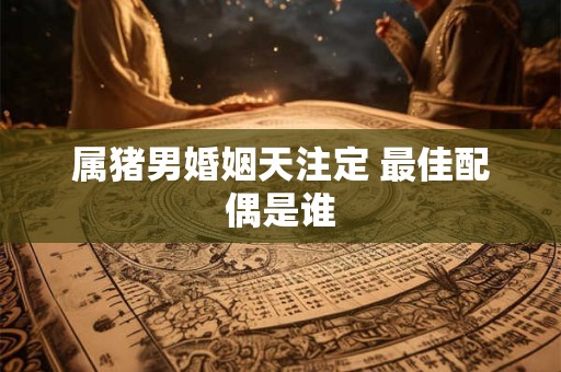 属猪男十二月出生命运如何 事业与财富能否双丰收
