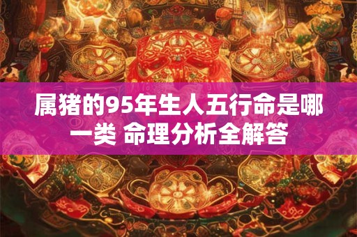 属猪的95年生人五行命是哪一类 命理分析全解答