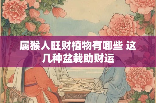 属猴人旺财植物有哪些 这几种盆栽助财运