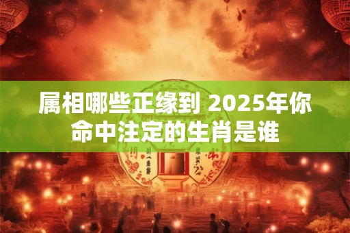属相哪些正缘到 2025年你命中注定的生肖是谁