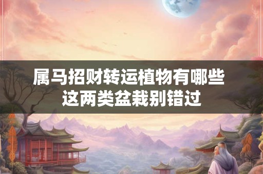 属马招财转运植物有哪些 这两类盆栽别错过