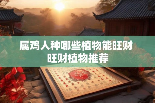 属鸡人的财运瓶颈如何突破 这些方法超有效