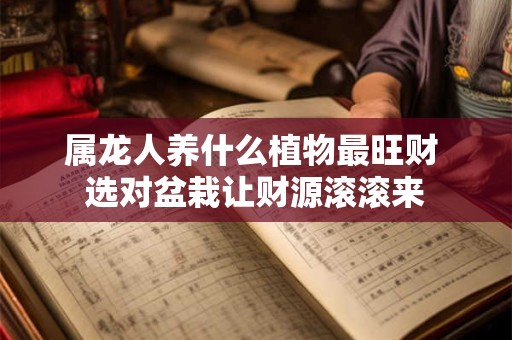 属龙人养什么植物最旺财 选对盆栽让财源滚滚来