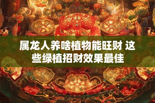 属龙人养啥植物能旺财 这些绿植招财效果最佳