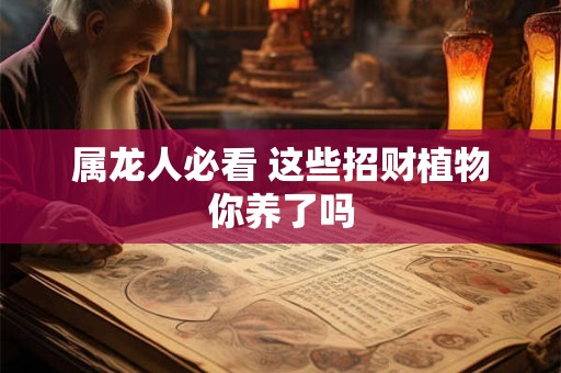 属龙人必看 这些招财植物你养了吗