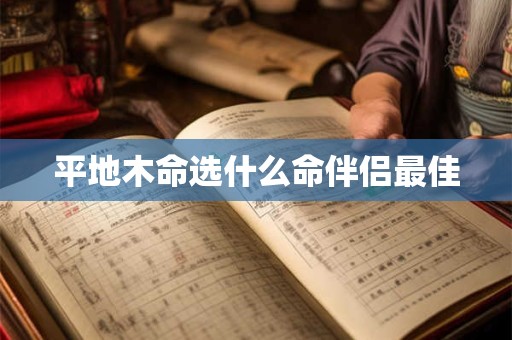 平地木命选什么命伴侣最佳