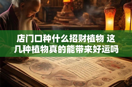 店门口种什么招财植物 这几种植物真的能带来好运吗