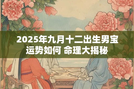 2025年九月十二出生男宝运势如何 命理大揭秘